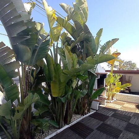 Villa Juncos Can Furnet Luaran gambar